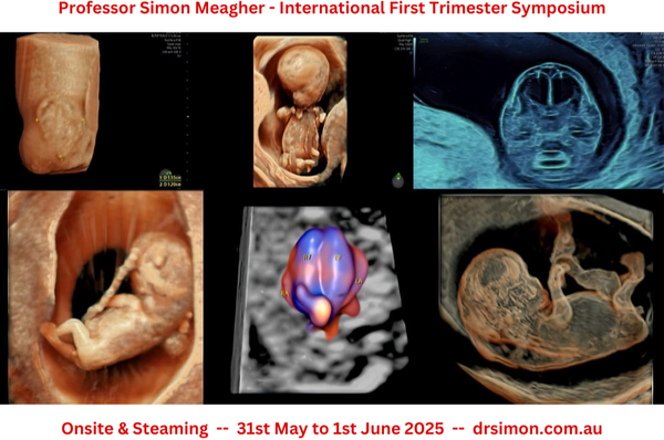 Monash Ultrasound For Women, International First Trimester Symposium Melbourne