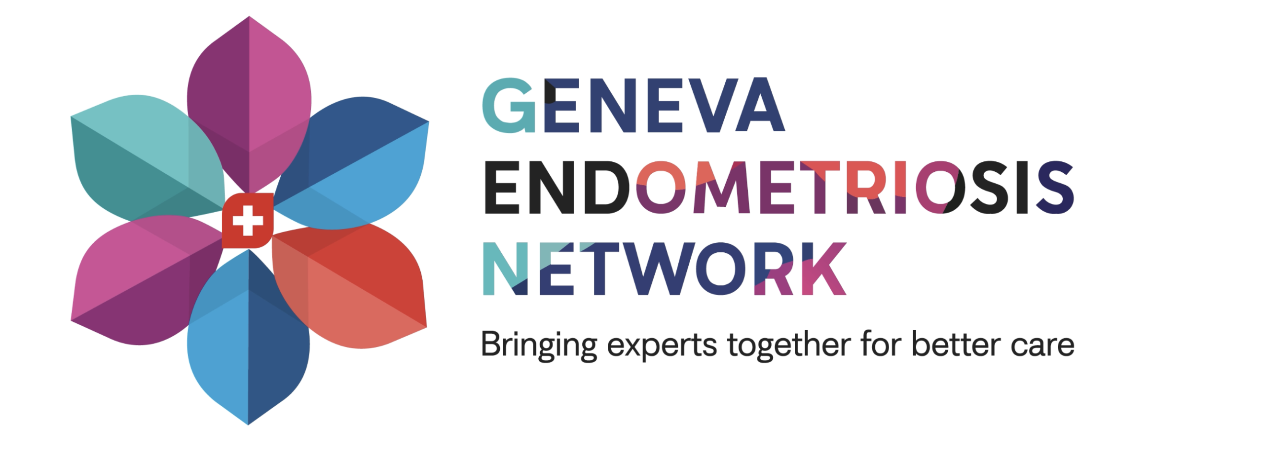 Formation continue multidisciplinaire sur le thème de l’endométriose